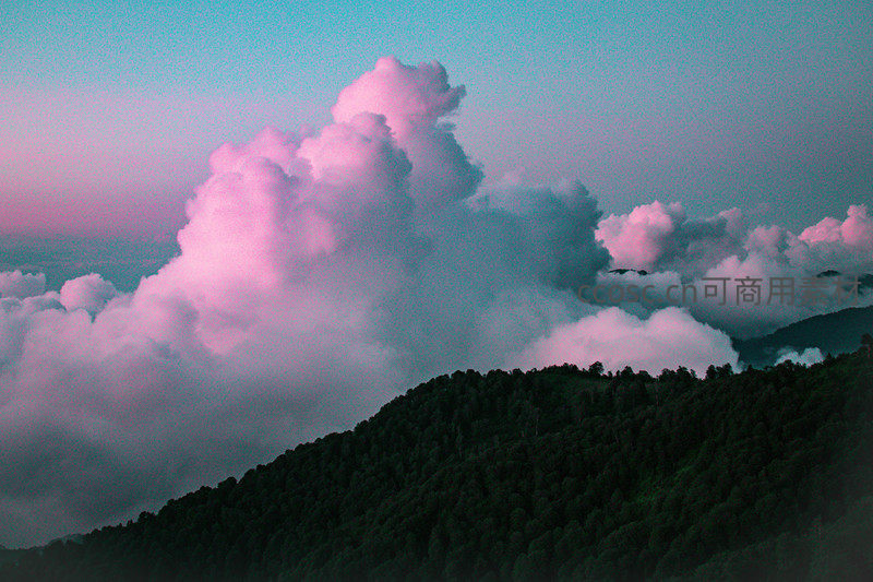 粉紫云海缭绕青翠山峦