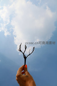 手握枯枝仰望蓝天白云
