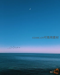 新月高悬海面飞鸟成行