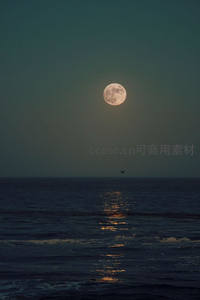 海上孤月映波光，飞鸟掠过静谧夜