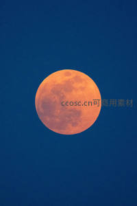 橙红满月高悬深蓝夜空