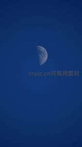 半轮明月挂深蓝夜幕，清冷孤寂