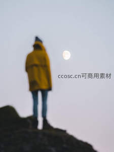 黄衣人影对月沉思