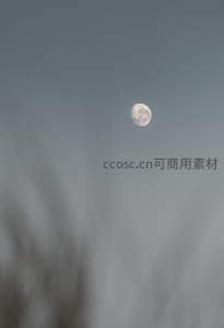 高远天空中的孤寂明月