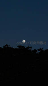 月挂树梢夜色深，林影婆娑伴月明