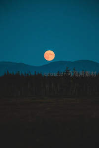 血月升空染山峦，森林剪影夜如墨