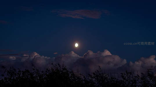 云海之上，明月高悬夜空