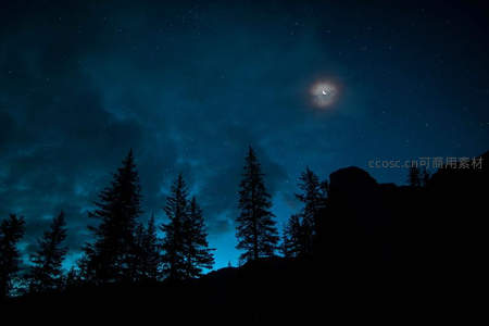 星夜森林剪影与朦胧月光