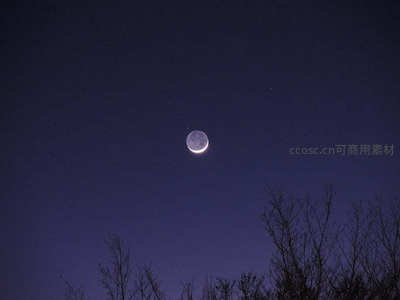 夜空弯月悬于枯枝之上，静谧深邃