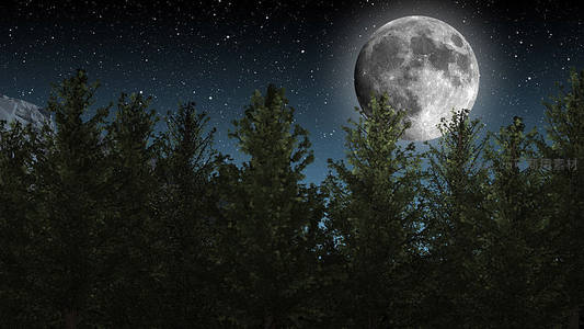 满月高悬林梢，星河璀璨夜空
