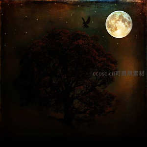 飞鹰掠过月夜古树