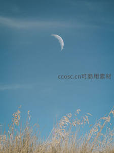 蓝天金草映弯月，田野静谧时光缓