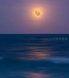 满月悬于海面，波光粼粼映月华