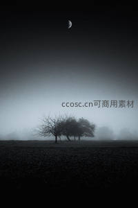 薄雾田野孤树伴半月，寂静苍凉