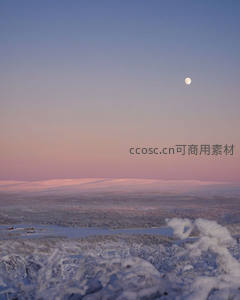 雪原月升，天地一片苍茫