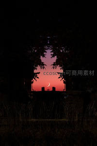 树影框住的月牙，暮色温柔