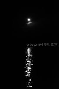月下水镜，黑夜中唯一的银色光路