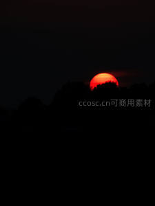 红日隐没树梢暮色四合时