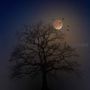 枯树剪影与血月飞鸟的神秘夜空