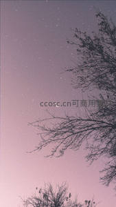 紫粉夜空下的弯月与繁星