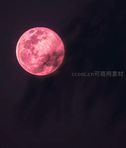 粉红满月，夜空中的瑰宝