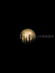 满月穿林，松影婆娑夜幽