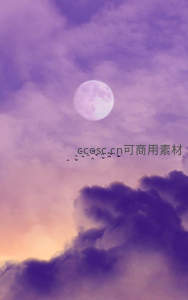 紫霞云海间飞鸟掠过，明月如镜映照苍穹