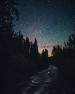 林间溪流映照流星划过夜空