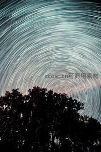 树影下旋转的星轨如梦似幻
