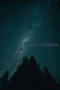 银河横跨天际松林剪影静默仰望苍穹