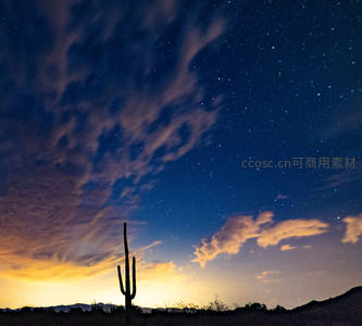 仙人掌剪影下，星空与晚霞交织成画