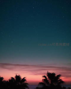 棕榈树影映衬下，星空与粉紫晚霞共舞