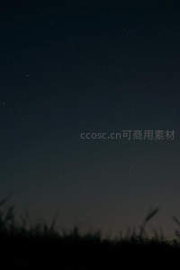 草丛之上静谧繁星点点