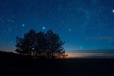 孤树剪影映星河