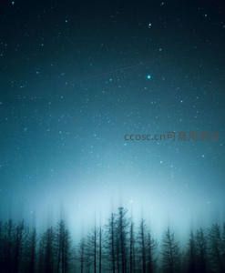 星河倾泻林梢，夜空如梦似幻