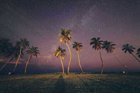 椰林倒影下的浪漫银河夜