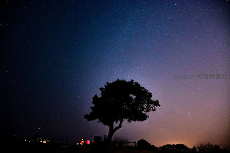 独树星河，旷野中守望夜空的剪影