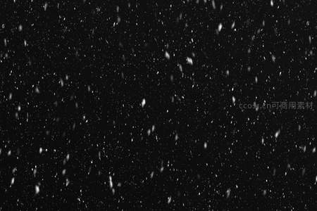漫天飞雪，黑夜中舞动的白色精灵