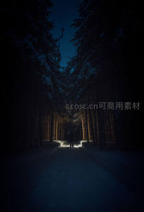 雪夜森林中孤独身影寻光