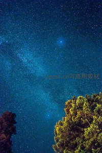 树梢仰望璀璨银河