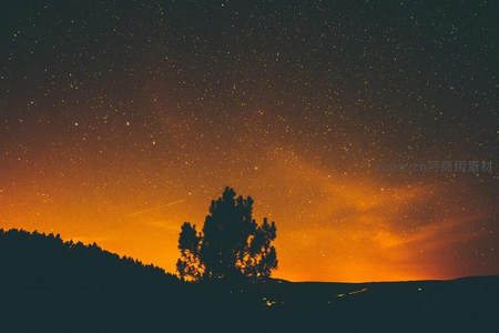 孤树剪影映星河，夜空如画醉人心