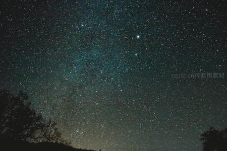 树梢之上星光点点
