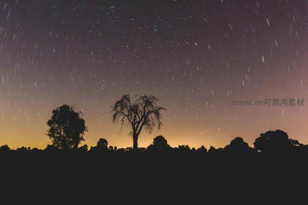 星轨环绕孤树夜景