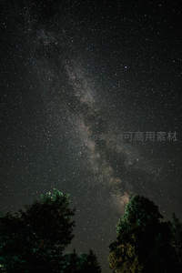 银河横跨夜空，树影静默仰望
