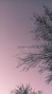 紫夜新月映枯枝，静谧星空如梦境