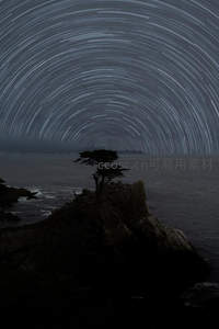 孤树星轨，夜海苍穹
