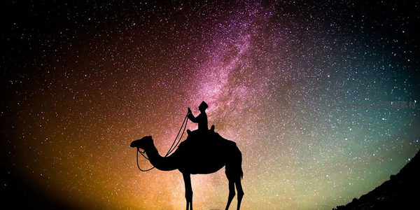 星空下的骆驼剪影与银河交相辉映