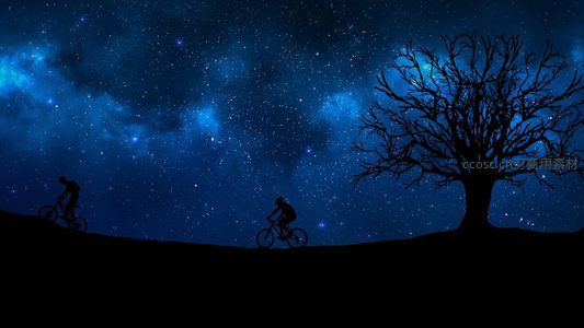 夜空下骑行者掠过孤树剪影