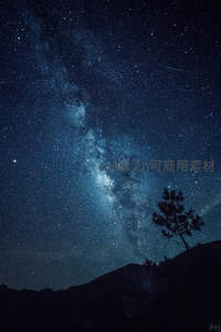 孤树剪影下的银河拱桥夜景