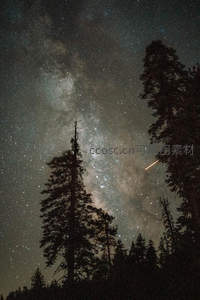 森林树梢间银河与流星共舞